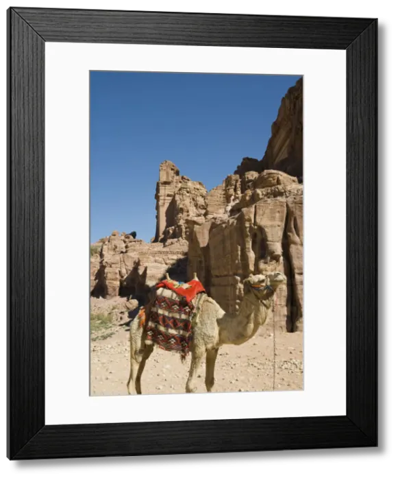 Framed Print : DDE-90025140 Framed Print : DDE-90025140