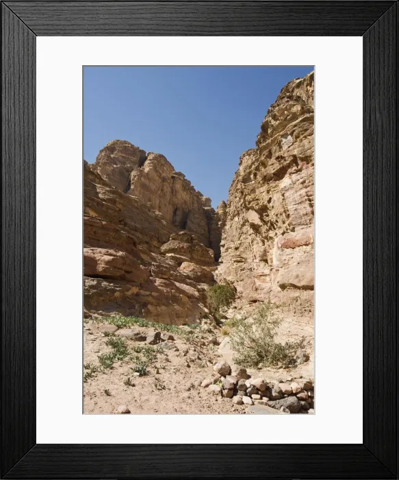 Framed Print : DDE-90025144