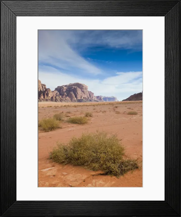 Framed Print : DDE-90025170 Framed Print : DDE-90025170