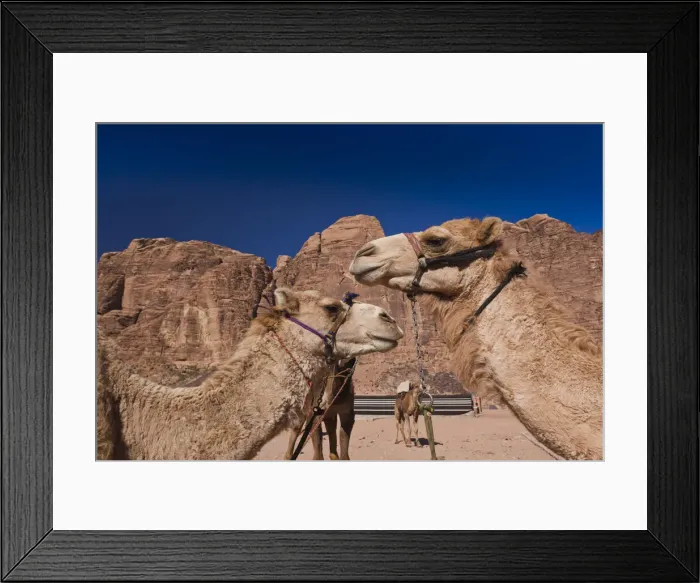 Framed Print : DDE-90025168