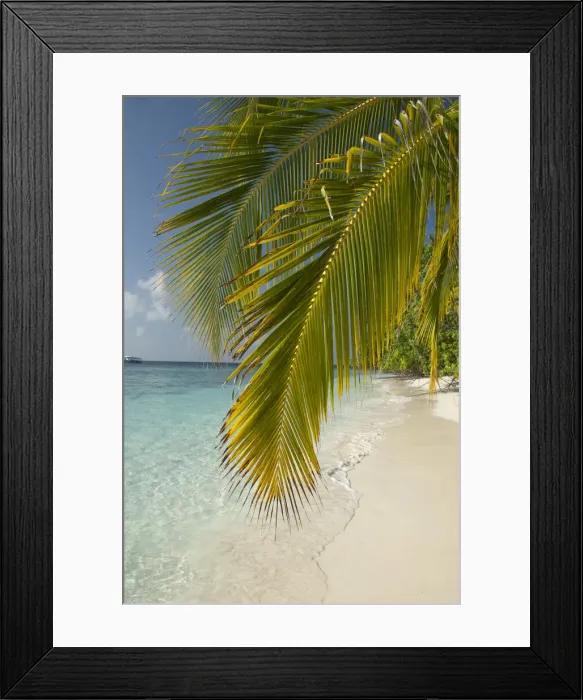 Framed Print : DDE-90025314