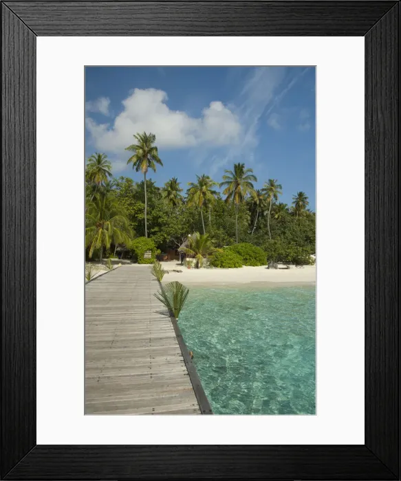 Framed Print : DDE-90025315 Framed Print : DDE-90025315