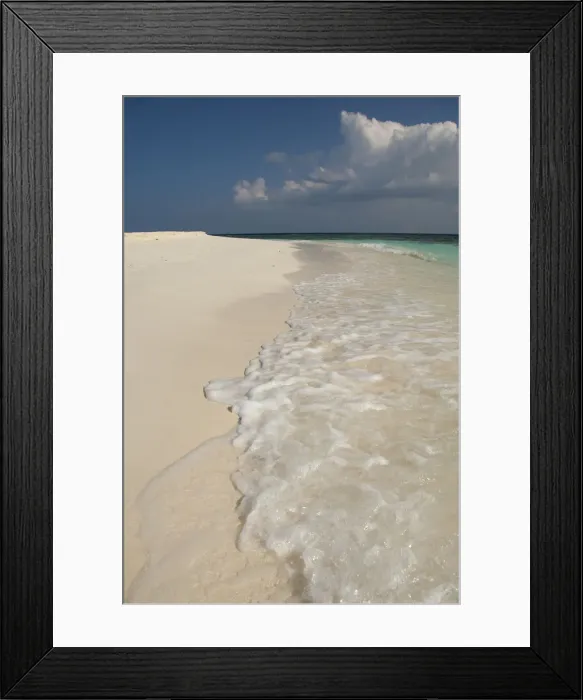 Framed Print : DDE-90025318
