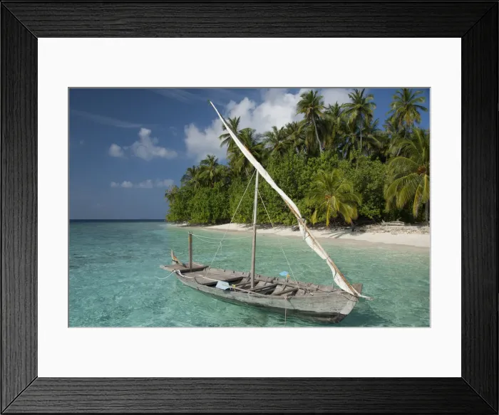Framed Print : DDE-90025316 Framed Print : DDE-90025316