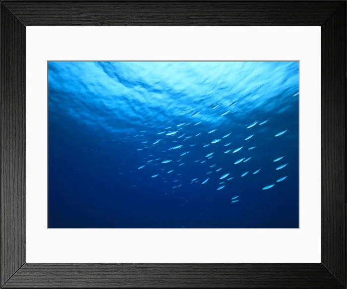 Framed Print : DDE-90025325 Framed Print : DDE-90025325