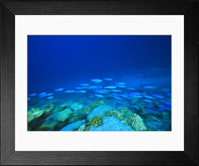 Framed Print : DDE-90025328 Framed Print : DDE-90025328
