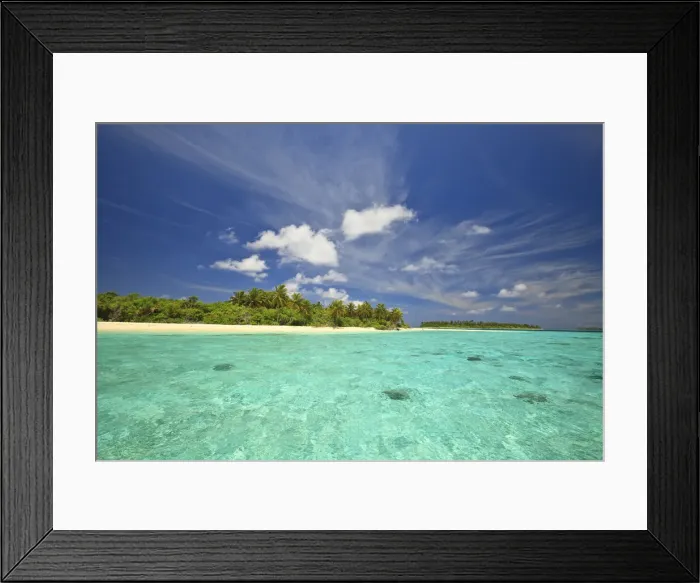 Framed Print : DDE-90025332 Framed Print : DDE-90025332