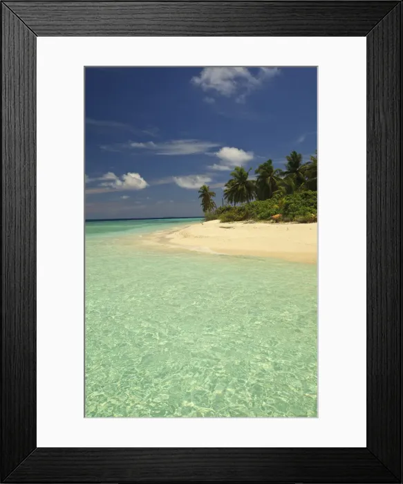 Framed Print : DDE-90025334 Framed Print : DDE-90025334