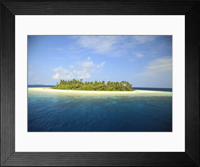 Framed Print : DDE-90025338