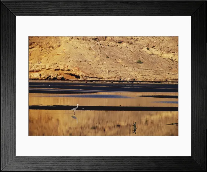 Framed Print : DDE-90025392