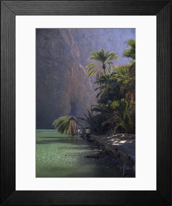 Framed Print : DDE-90025402 Framed Print : DDE-90025402