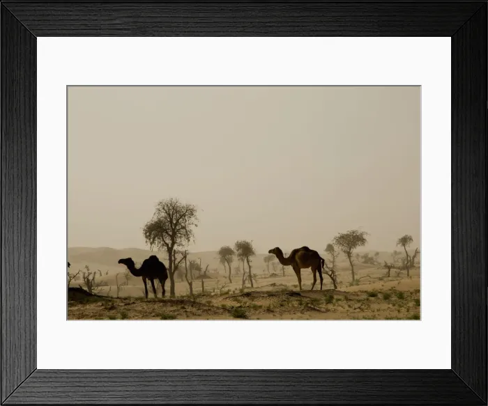 Framed Print : DDE-90025409 Framed Print : DDE-90025409