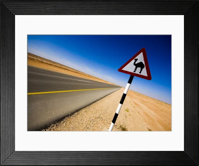 Framed Print : DDE-90025422 Framed Print : DDE-90025422