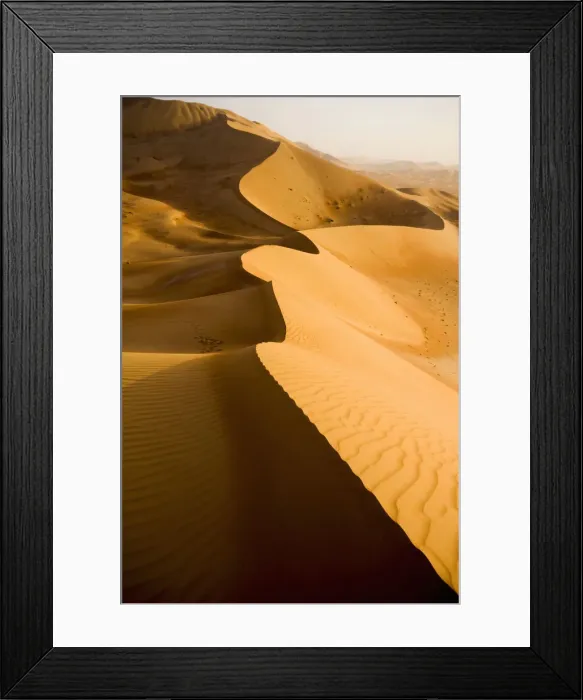 Framed Print : DDE-90025424