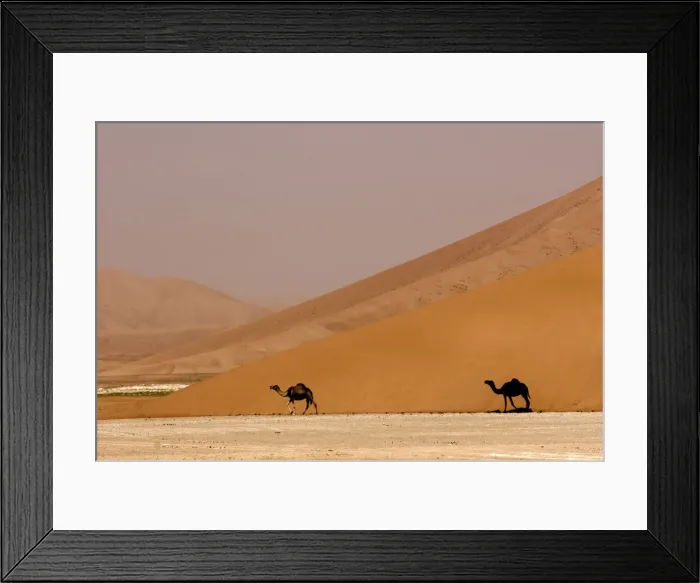 Framed Print : DDE-90025430 Framed Print : DDE-90025430