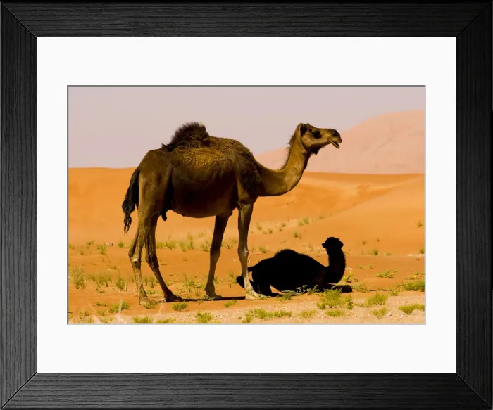 Framed Print : DDE-90025432 Framed Print : DDE-90025432