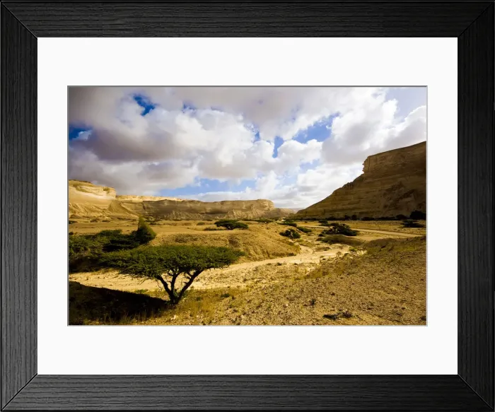 Framed Print : DDE-90025435 Framed Print : DDE-90025435