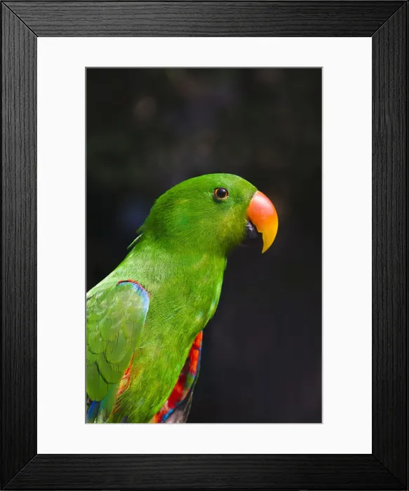 Framed Print : DDE-90025443 Framed Print : DDE-90025443