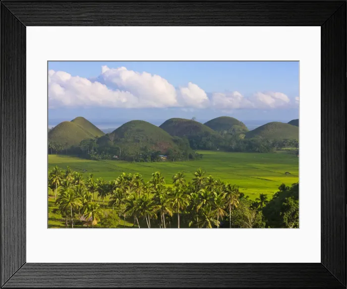 Framed Print : DDE-90025448 Framed Print : DDE-90025448