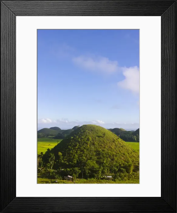 Framed Print : DDE-90025447 Framed Print : DDE-90025447