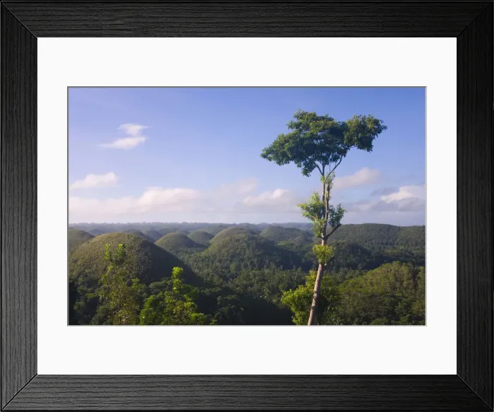 Framed Print : DDE-90025450 Framed Print : DDE-90025450