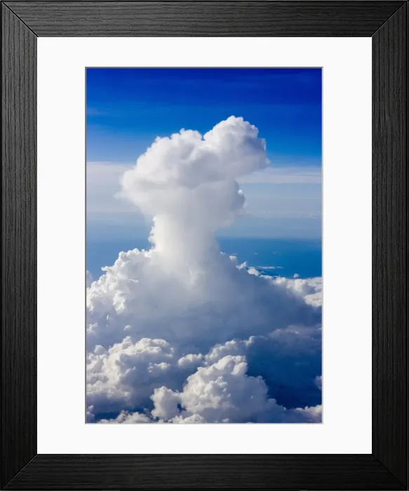 Framed Print : DDE-90025457 Framed Print : DDE-90025457