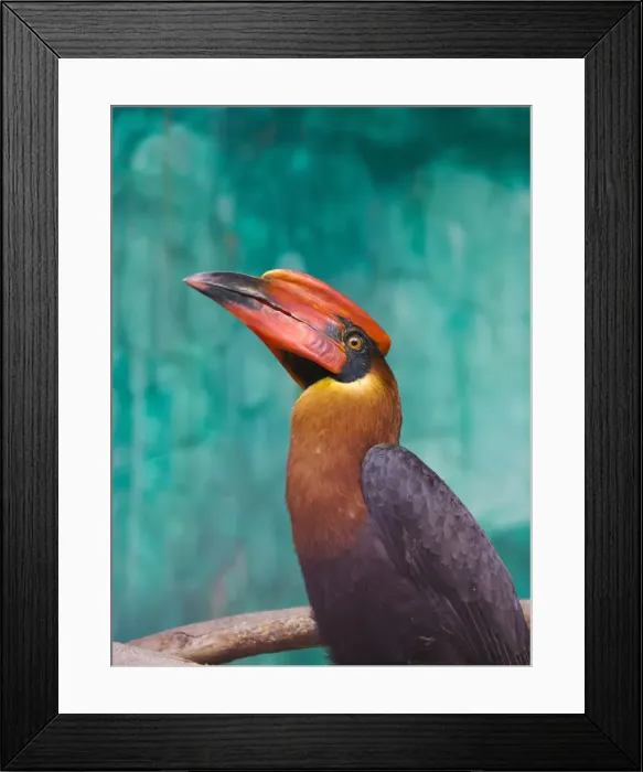 Framed Print : DDE-90025461 Framed Print : DDE-90025461