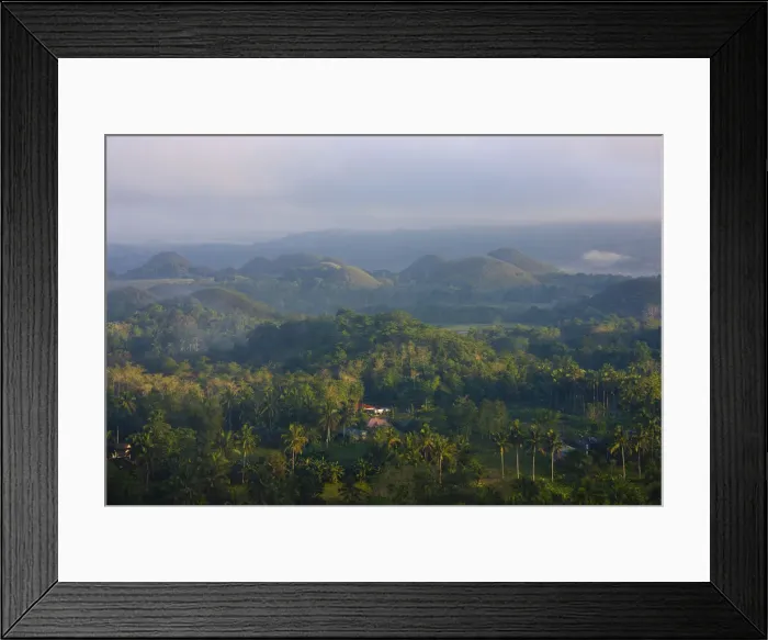 Framed Print : DDE-90025462