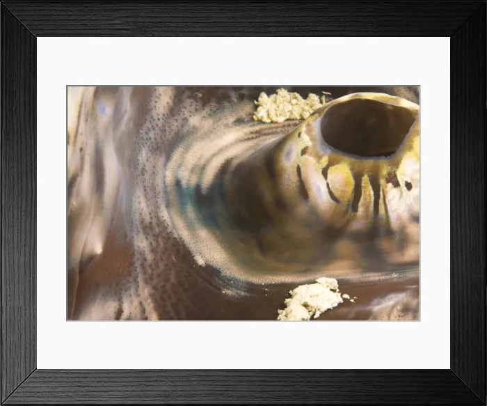 Framed Print : DDE-90025468 Framed Print : DDE-90025468