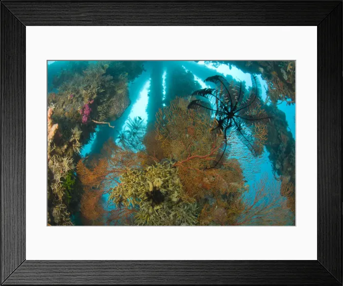 Framed Print : DDE-90025483