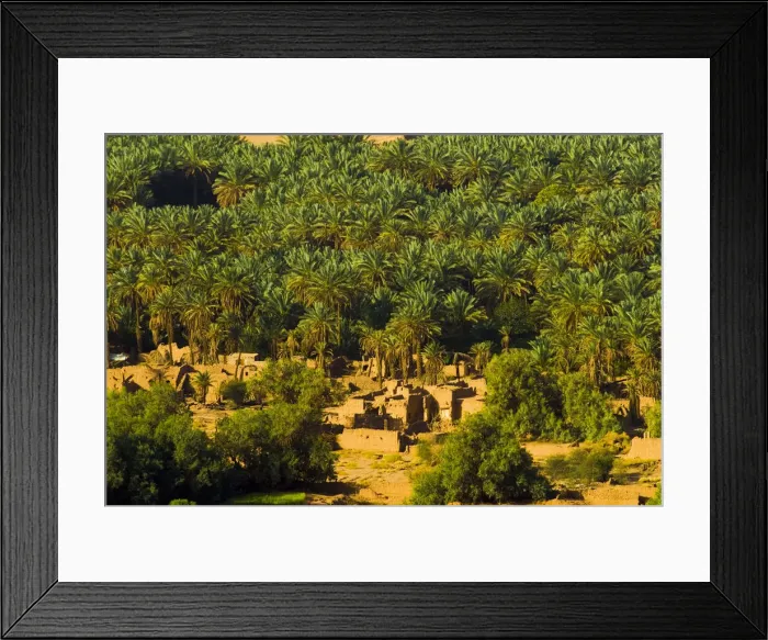 Framed Print : DDE-90025491 Framed Print : DDE-90025491