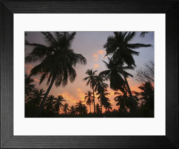 Framed Print : DDE-90025509 Framed Print : DDE-90025509