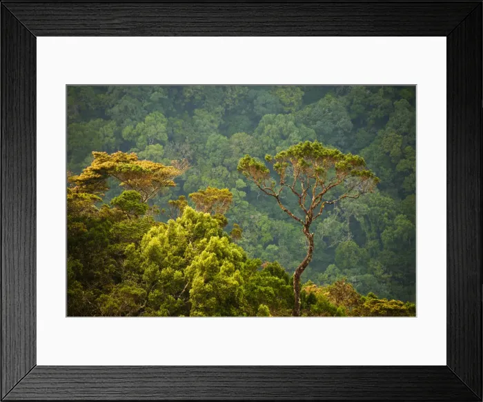 Framed Print : DDE-90025510 Framed Print : DDE-90025510