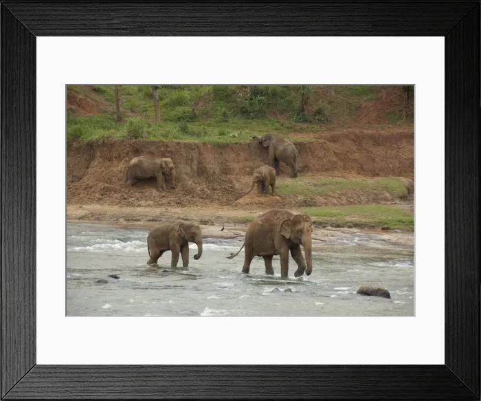 Framed Print : DDE-90025504
