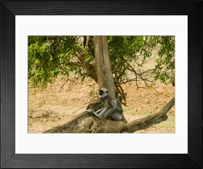 Framed Print : DDE-90025513