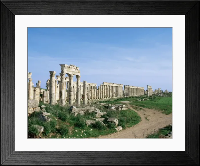 Framed Print : DDE-90025515 Framed Print : DDE-90025515