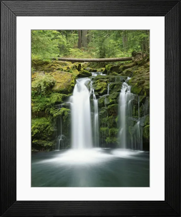 Framed Print : DDE-90025517 Framed Print : DDE-90025517