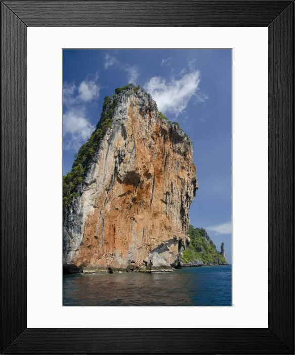 Framed Print : DDE-90025521