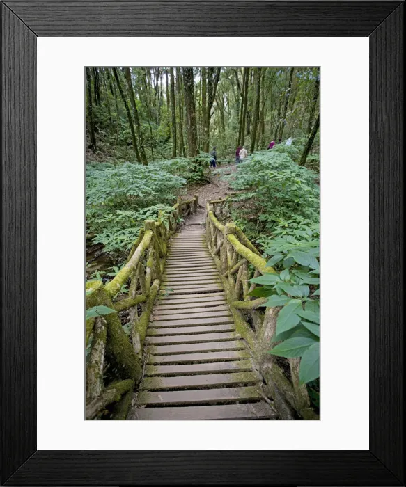Framed Print : DDE-90025524 Framed Print : DDE-90025524