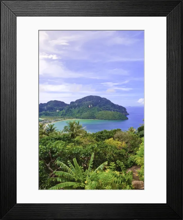 Framed Print : DDE-90025535