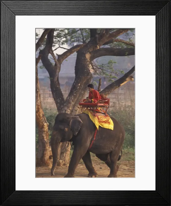 Framed Print : DDE-90025542