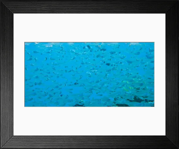 Framed Print : DDE-90025549