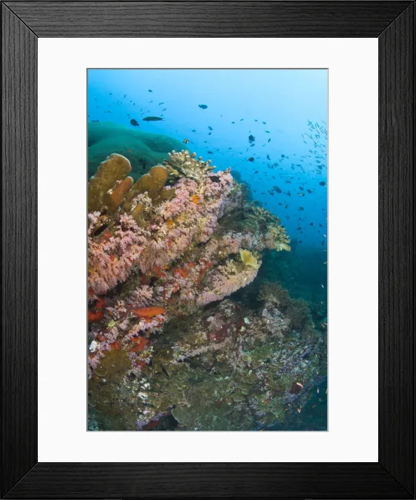 Framed Print : DDE-90025553 Framed Print : DDE-90025553