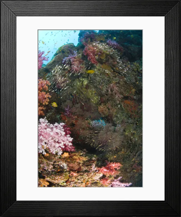 Framed Print : DDE-90025580 Framed Print : DDE-90025580