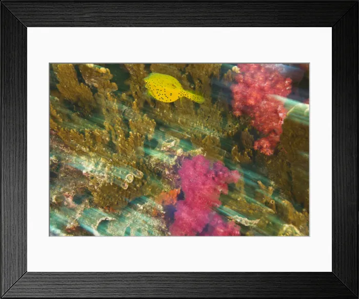 Framed Print : DDE-90025581 Framed Print : DDE-90025581
