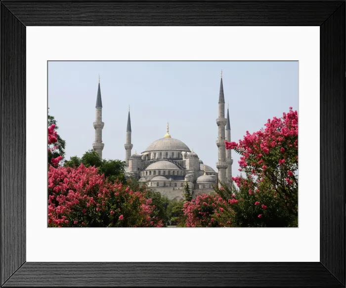 Framed Print : DDE-90025600 Framed Print : DDE-90025600
