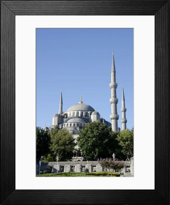 Framed Print : DDE-90025606 Framed Print : DDE-90025606