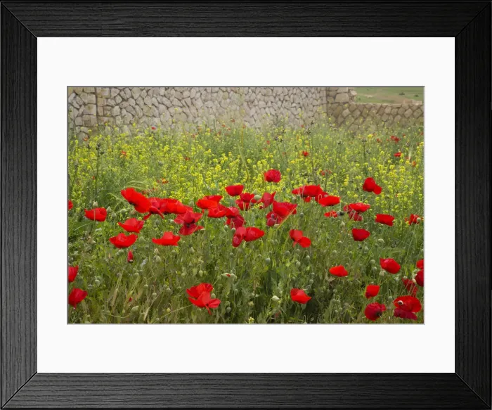 Framed Print : DDE-90025608
