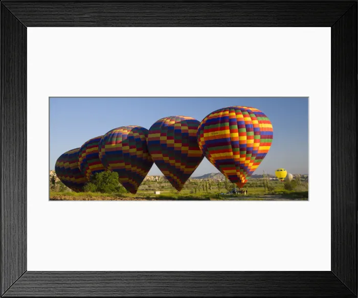 Framed Print : DDE-90025616