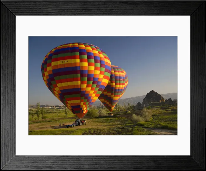 Framed Print : DDE-90025617